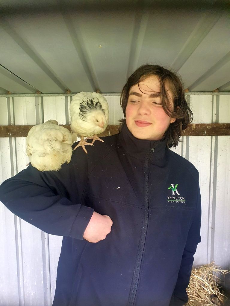 Nugget and Popcorn on their perch res - Kyneton High School - Excellence in Teaching & Learning