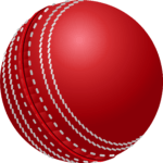 Cricket - Kyneton High School - Excellence in Teaching & Learning