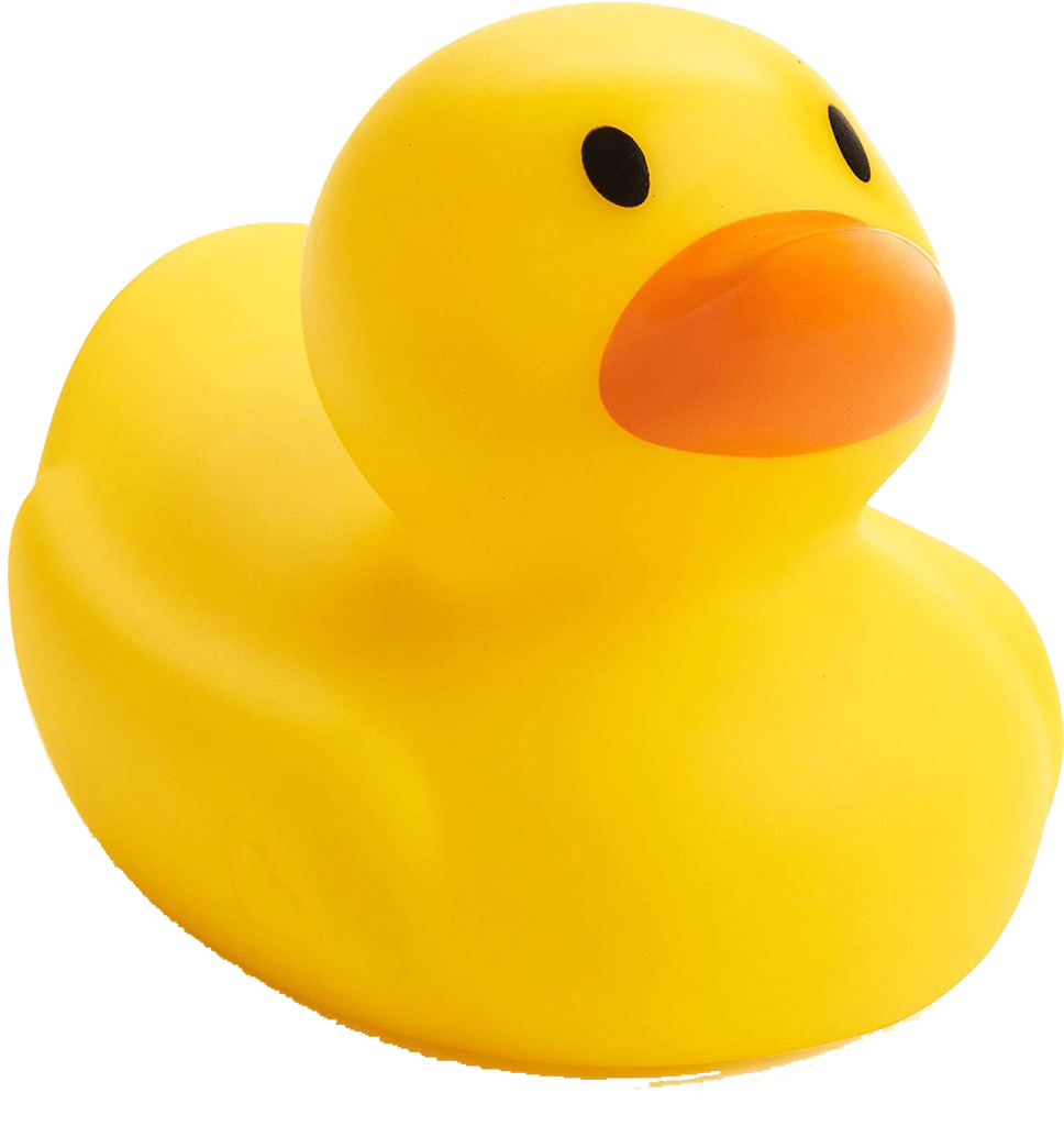 Rubber duck - Kyneton High School - Excellence in Teaching & Learning